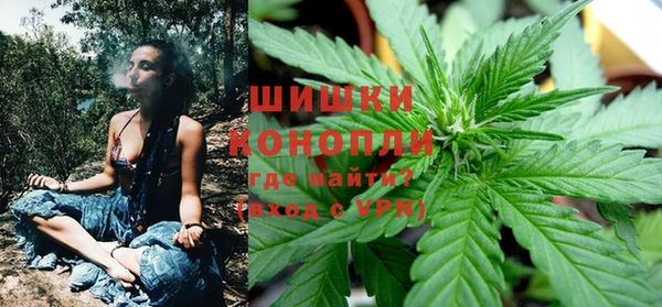 эйфоретик Строитель