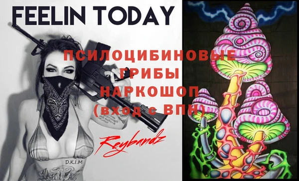 Альфа ПВП Бородино