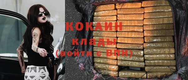 молекула духа Белоозёрский