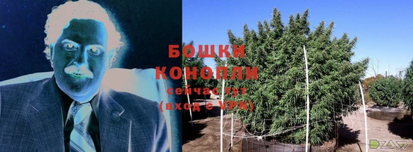 молекула духа Белоозёрский