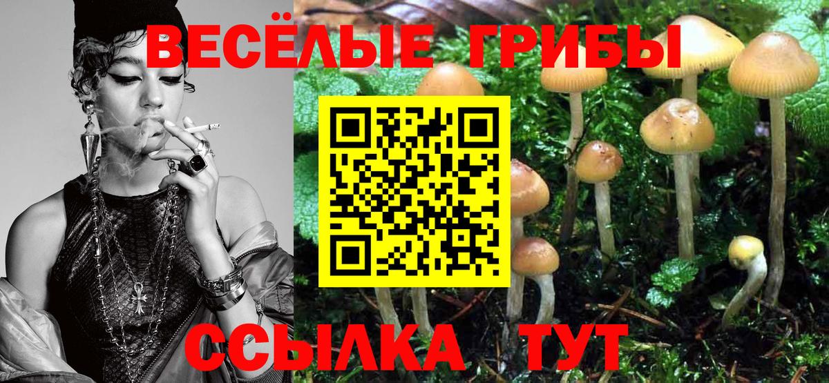 Псилоцибиновые грибы Psilocybe Маркс